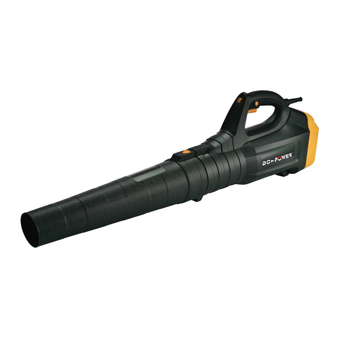 DP8010
